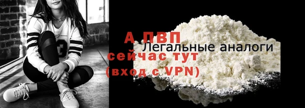 стаф Богданович