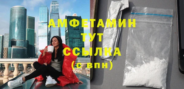 стаф Богданович