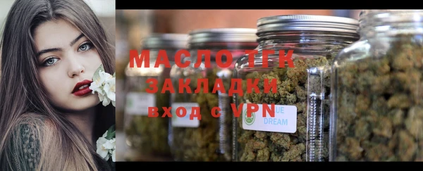 стаф Богданович